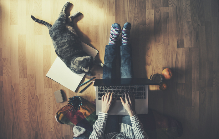 Employee working from home with laptop and cat by their feet