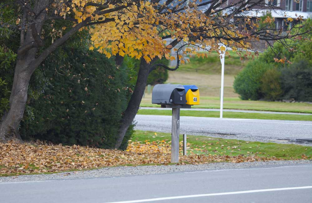 A mailbox in New Zealand during fall. 
