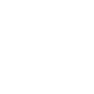 Fully Managed icon