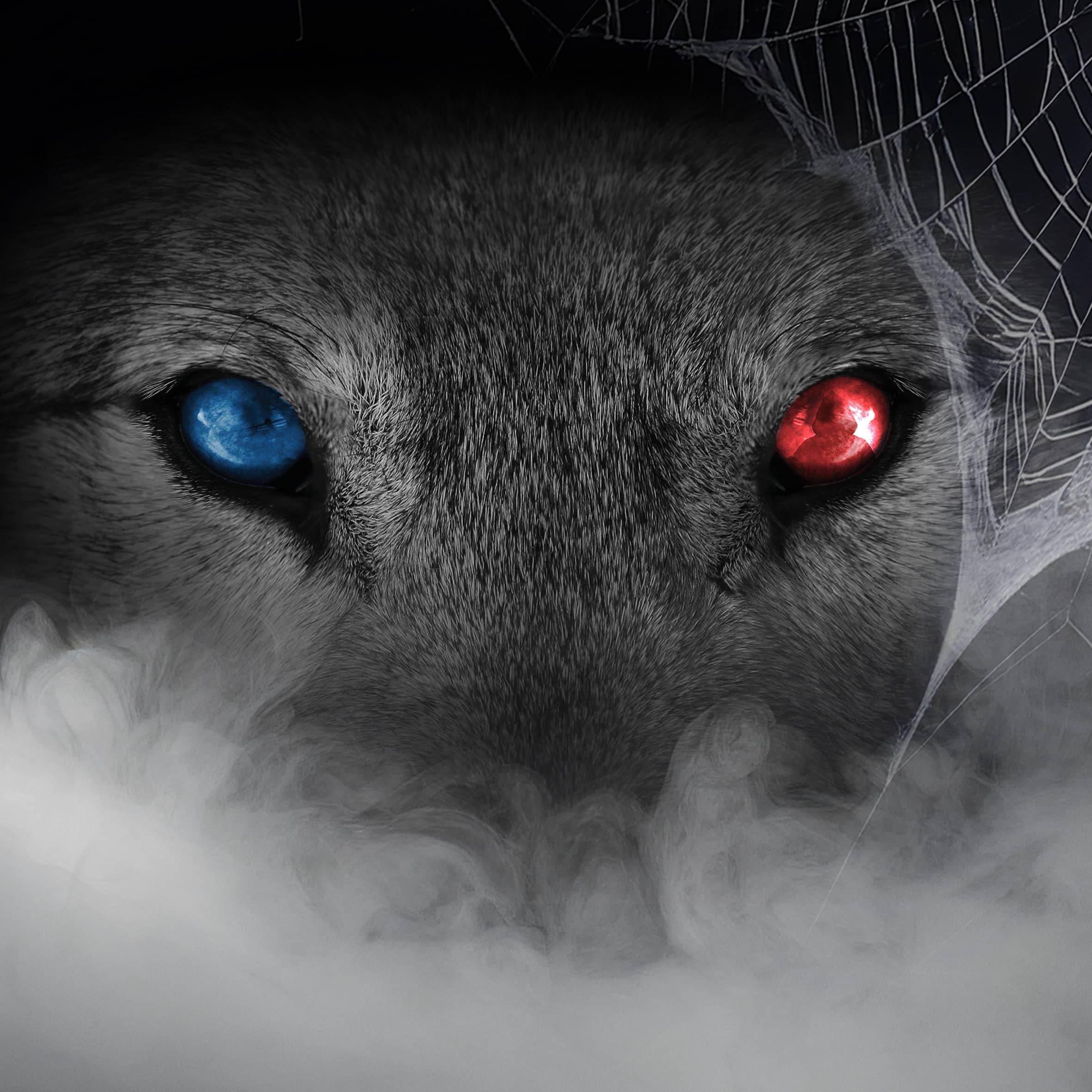Halloween Arctic Wolf with a red eye.