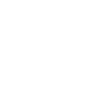 Secure Strategy icon