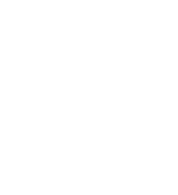 Cyber Resilience Assessment icon