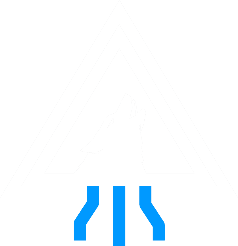 Arctic Wolf Labs 2025 Cybersecurity Predictions - Arctic Wolf