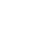 Data Explorer