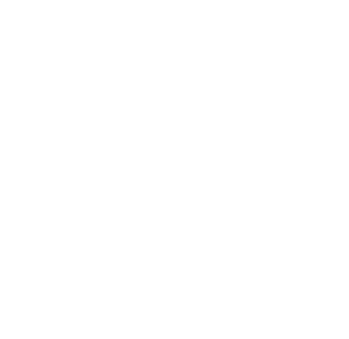 Managed Risk icon