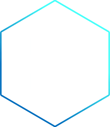 Arctic Wolf Aurora Vulnerability Management icon